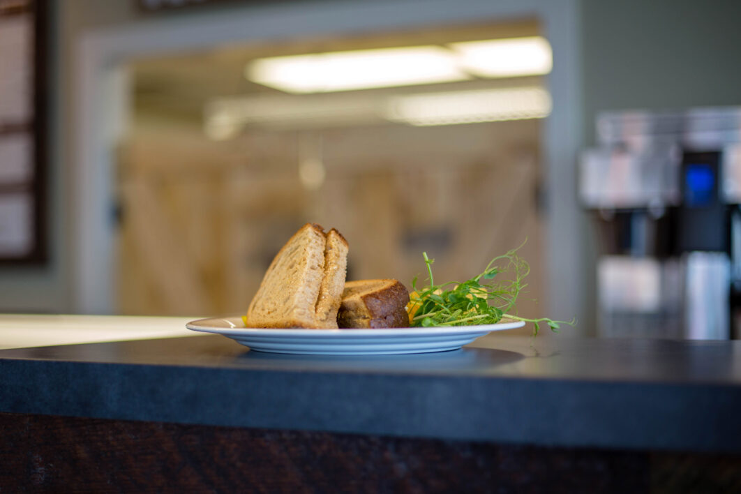 Sandwich Food Plate