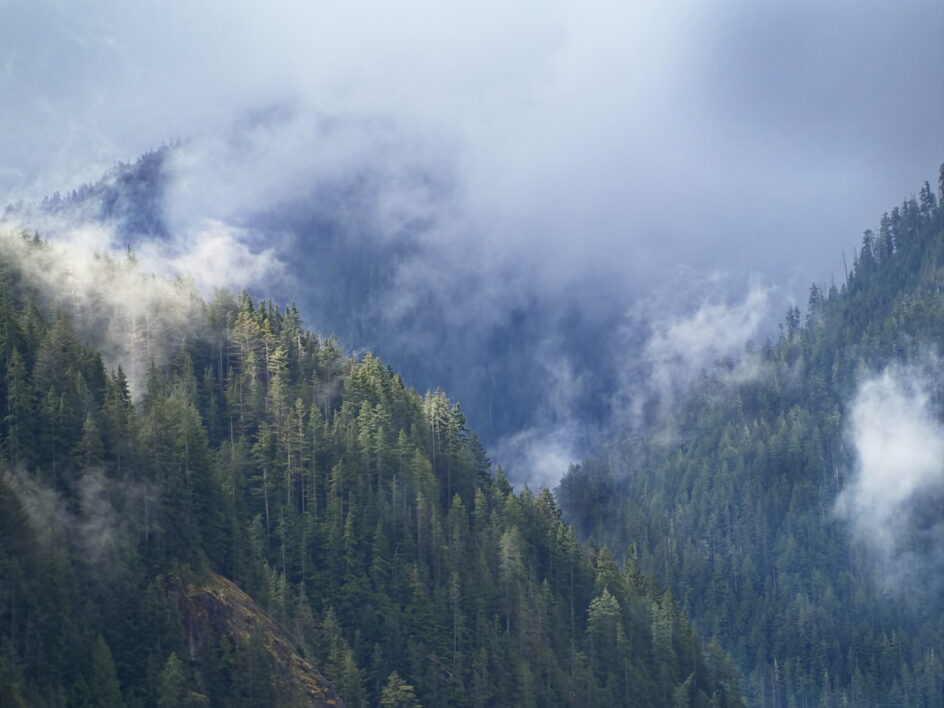 Misty Mountains Landscape Misty Mountains Landscape